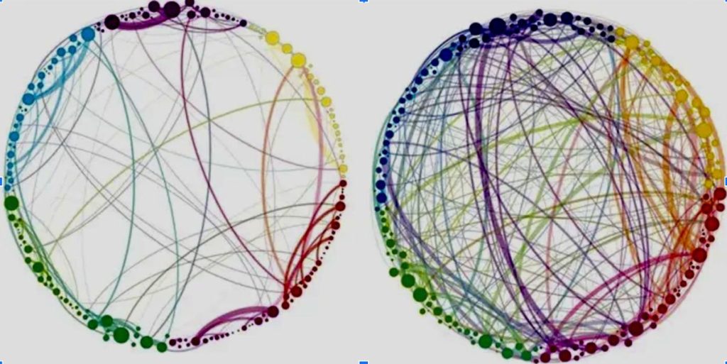 Psilocybin Brain Activity