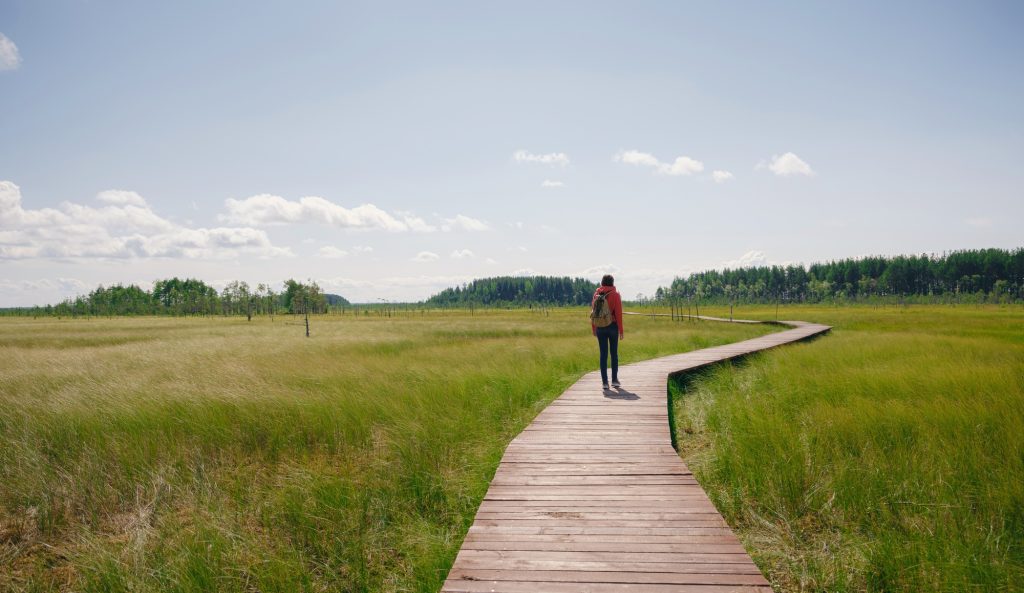trip to central Russia, St. Petersburg, ecotrail Sestroretsky swamps